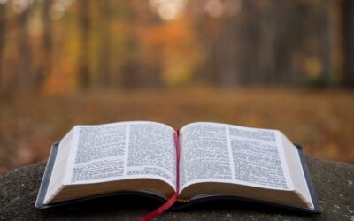 Una biblioteca imprescindible: Libros destacados para todos los gustos